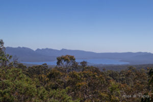 Lac au loin
