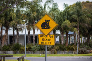 Panneau koalas en paysage