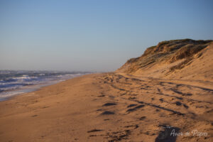 Plage vierge