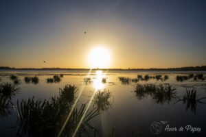 Soleil et lac dans le spot de bivouac