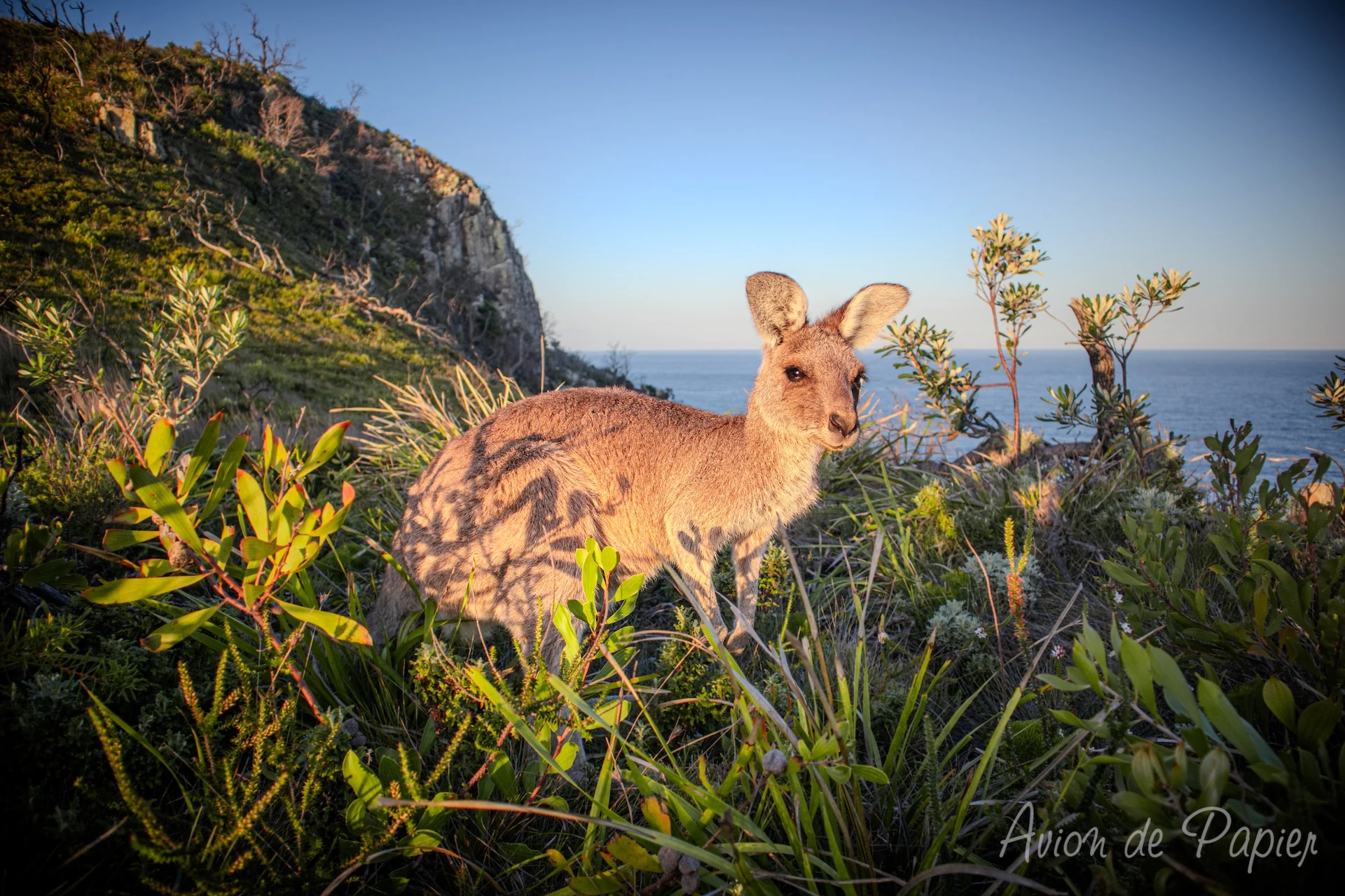 Road trip de 3 semaines en Australie